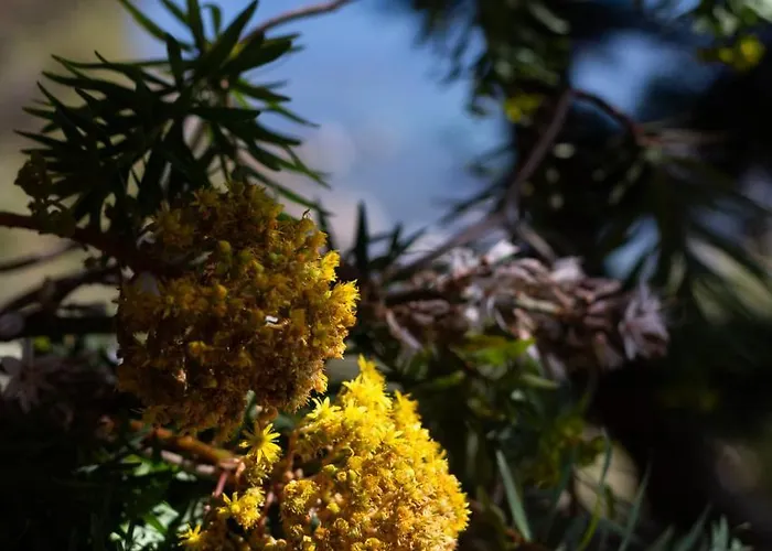 Capo Boi Villa Villasimius