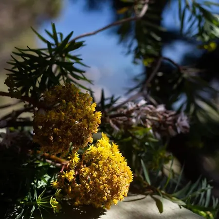 Capo Boi Villa Villasimius